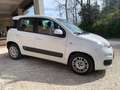 Fiat Panda Easy 1.3 mjt 16v  - 95cv Bianco - thumbnail 3