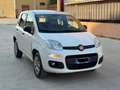 Fiat Panda Panda 0.9 TwinAir Turbo Natural Power Lounge Bianco - thumbnail 3