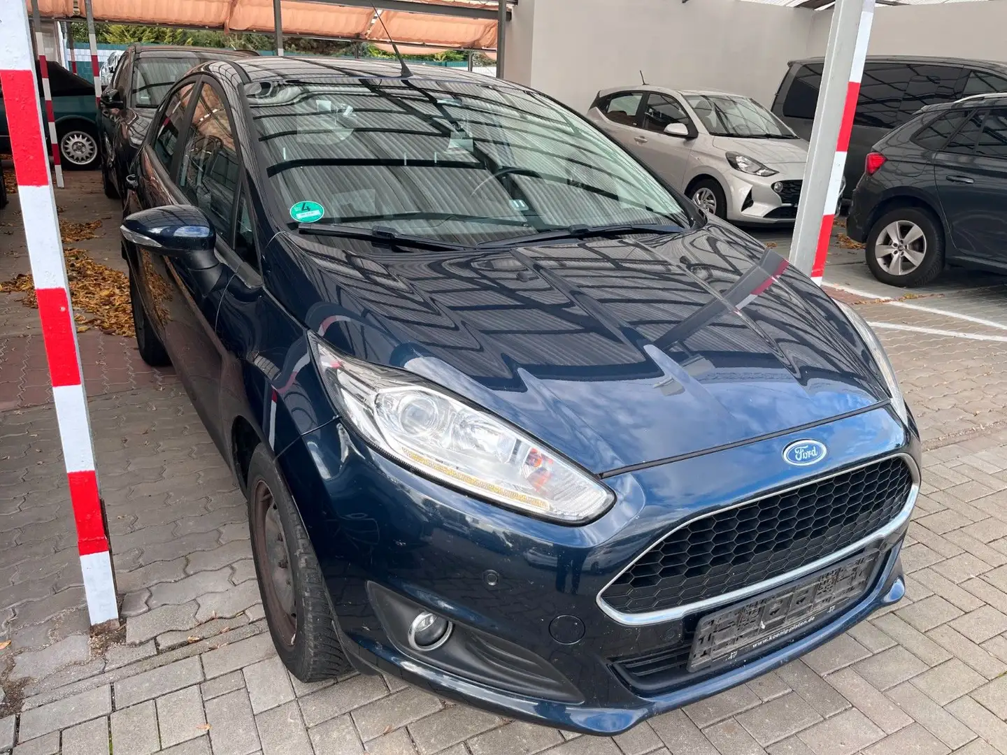 Ford Fiesta Celebration Grau - 1