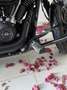 Harley-Davidson Street Bob Street Bob 114 M8 Negro - thumbnail 3