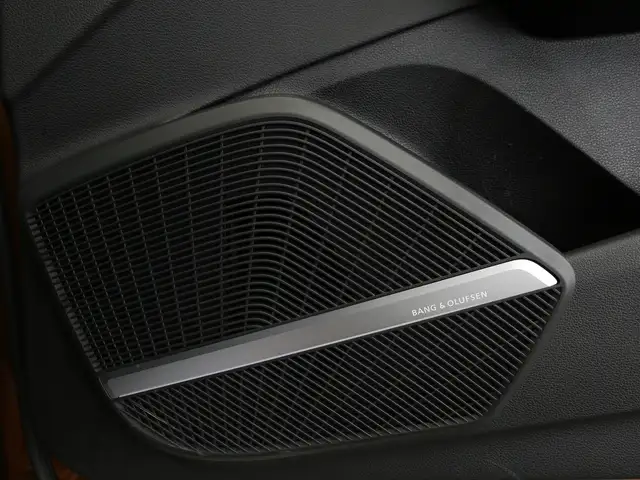 Audi SQ5 view 14