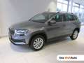 Skoda Karoq Ambition TDI Grau - thumbnail 1