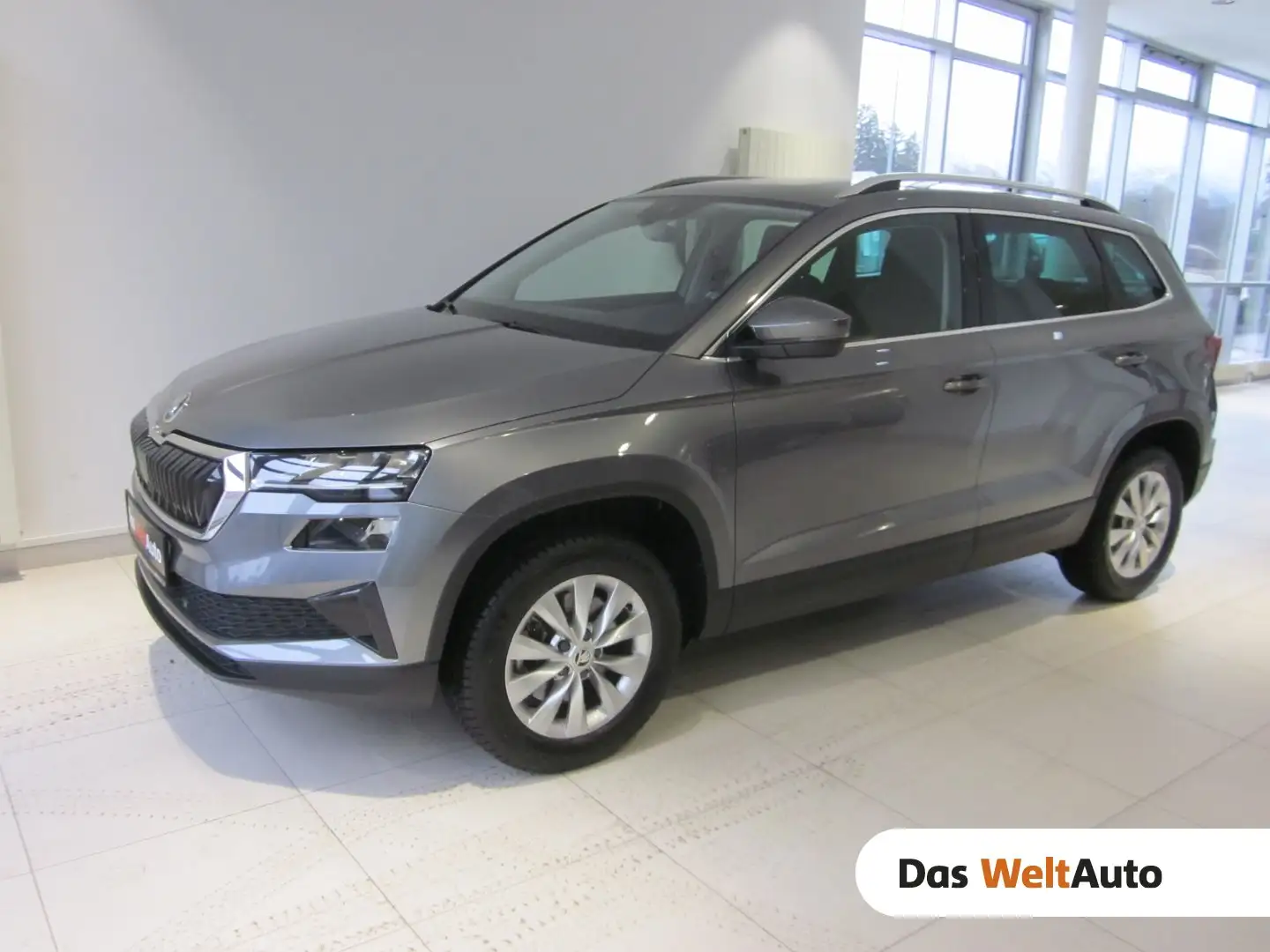 Skoda Karoq Ambition TDI Grau - 1