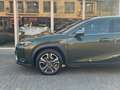 Lexus UX 250h Preference Line | Nieuwe multimedia, 18 inch, Dode Grün - thumbnail 9