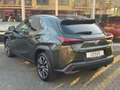 Lexus UX 250h Preference Line | Nieuwe multimedia, 18 inch, Dode Grün - thumbnail 8