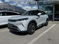 BYD Atto 2 Atto2 45,12 kWh Active Österreich Paket Grau - thumbnail 2