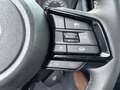 Subaru Forester 2,0i e-Boxer Premium AWD Aut. ''2025 MOD.'' Grijs - thumbnail 33