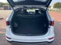 Hyundai SANTA FE Santa Fe Diesel blue 2.2 CRDI 4WD Premium Weiß - thumbnail 16