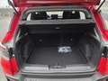 Jeep Avenger Longitude 1,2 MHev 110 Aut. + Winterpack - NIEUW Rot - thumbnail 8