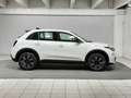 Fiat 600 Hybrid 136 CV DCT MHEV ICON Bianco - thumbnail 6