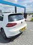 Volkswagen Golf 1.4 TSI GTE Wit - thumbnail 2
