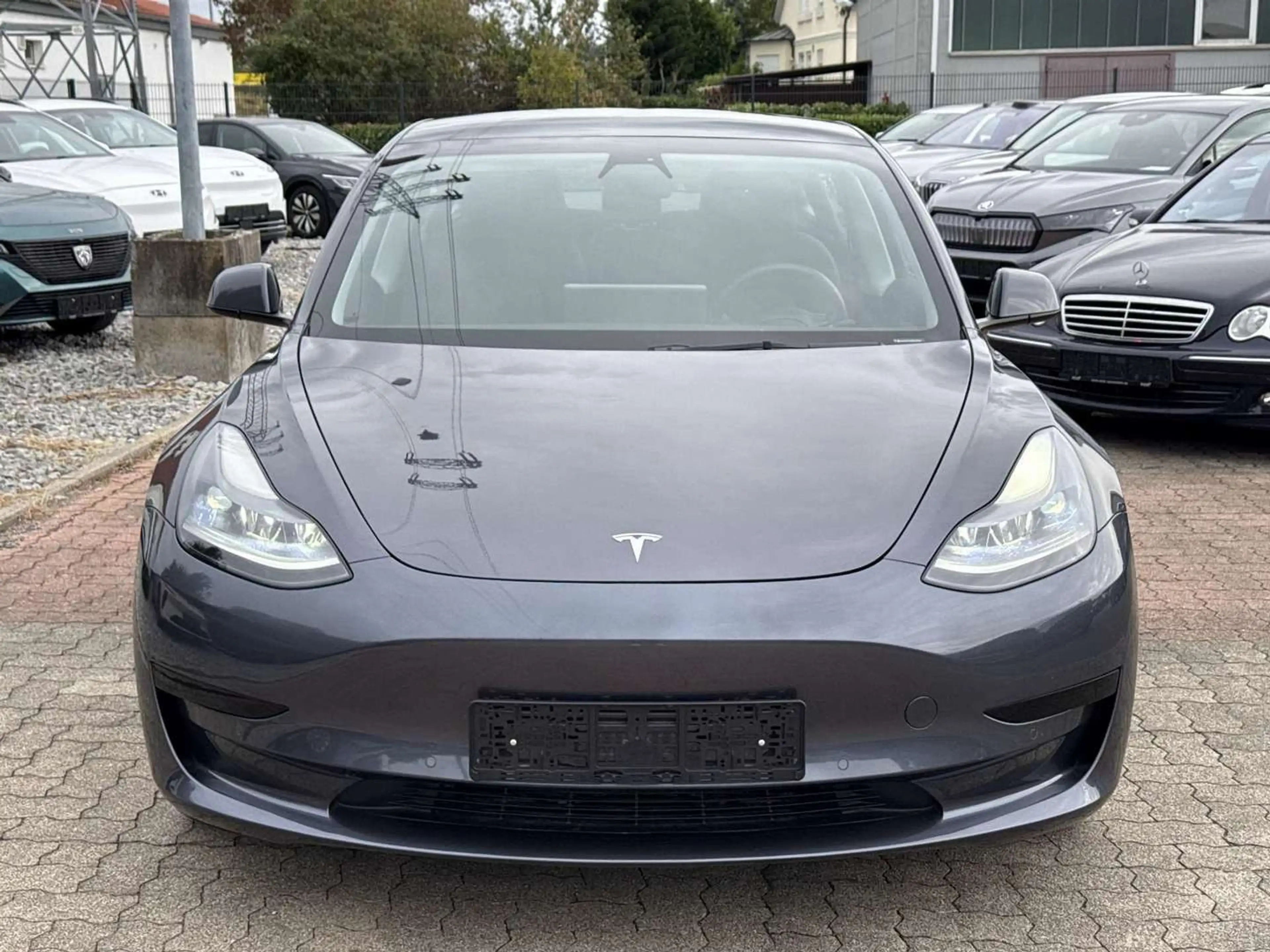 Tesla Model 3 Standard Plus Basis RWD|PANO|360G|NAVI — photo 2