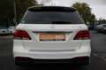 Mercedes-Benz GLE 63 AMG GLE 63 S/AMG/PANO/LEDER/LED/STERNEHIMMEL/TOP/ Alb - thumbnail 6