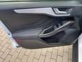 Ford Focus 2.0 EcoBlue Cool NAVI PDC SHZ LDHZ AHK Weiß - thumbnail 8