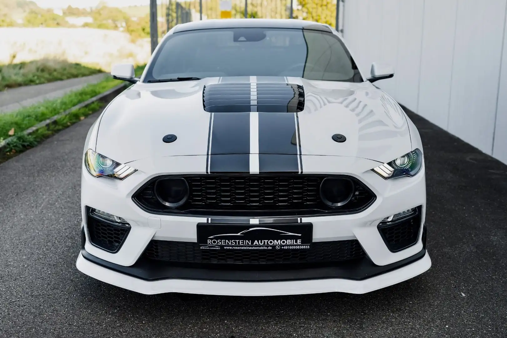 Ford Mustang GT 5.0 V8 Premium/Klappenauspuff/260km Blanc - 2