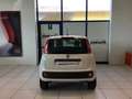 Fiat Panda Panda 0.9 TwinAir Turbo Natural Power Easy S3 Bianco - thumbnail 6