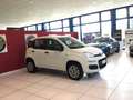 Fiat Panda Panda 0.9 TwinAir Turbo Natural Power Easy S3 Bianco - thumbnail 4