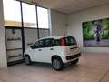 Fiat Panda Panda 0.9 TwinAir Turbo Natural Power Easy S3 Bianco - thumbnail 5