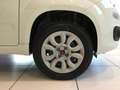 Fiat Panda Panda 0.9 TwinAir Turbo Natural Power Easy S3 Bianco - thumbnail 8