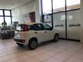 Fiat Panda Panda 0.9 TwinAir Turbo Natural Power Easy S3 Bianco - thumbnail 7