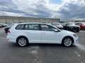 Volkswagen Golf Variant Rabbit 40 2,0 TDI 4Motion DSG Weiß - thumbnail 8