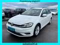 Volkswagen Golf Variant Rabbit 40 2,0 TDI 4Motion DSG Weiß - thumbnail 3