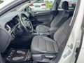 Volkswagen Golf Variant Rabbit 40 2,0 TDI 4Motion DSG Weiß - thumbnail 9