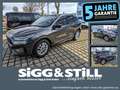 Ford Kuga ST-Line X 2.5 Hybrid LED-MATRIX*B&O*ACC*CAM Gris - thumbnail 1