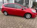 Toyota Prius+ Prius Wagon 1.8 Dynamic Business Red - thumbnail 5