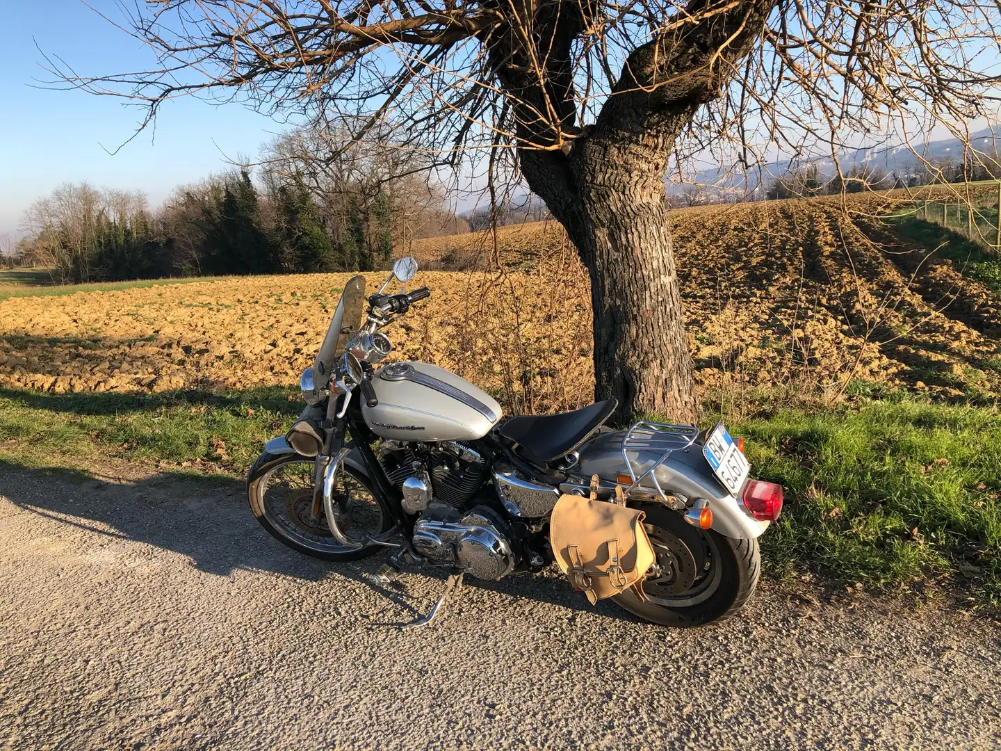 Harley-Davidson Sportster 1200 XL 1200 Custom - 2