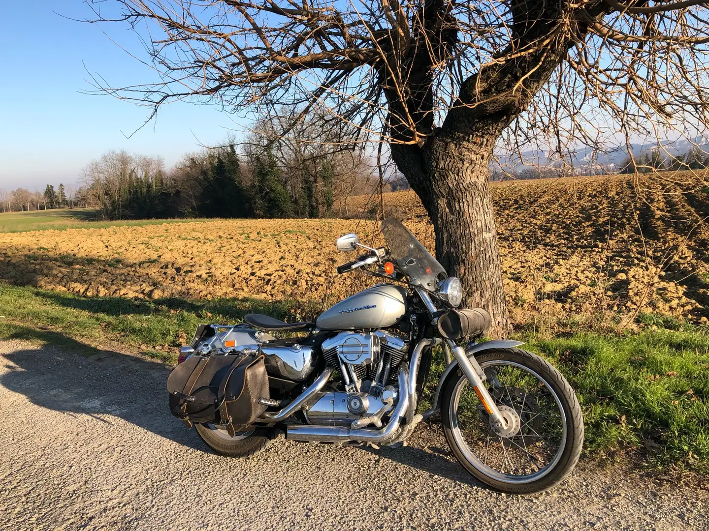 Harley-Davidson Sportster 1200 XL 1200 Custom - 1