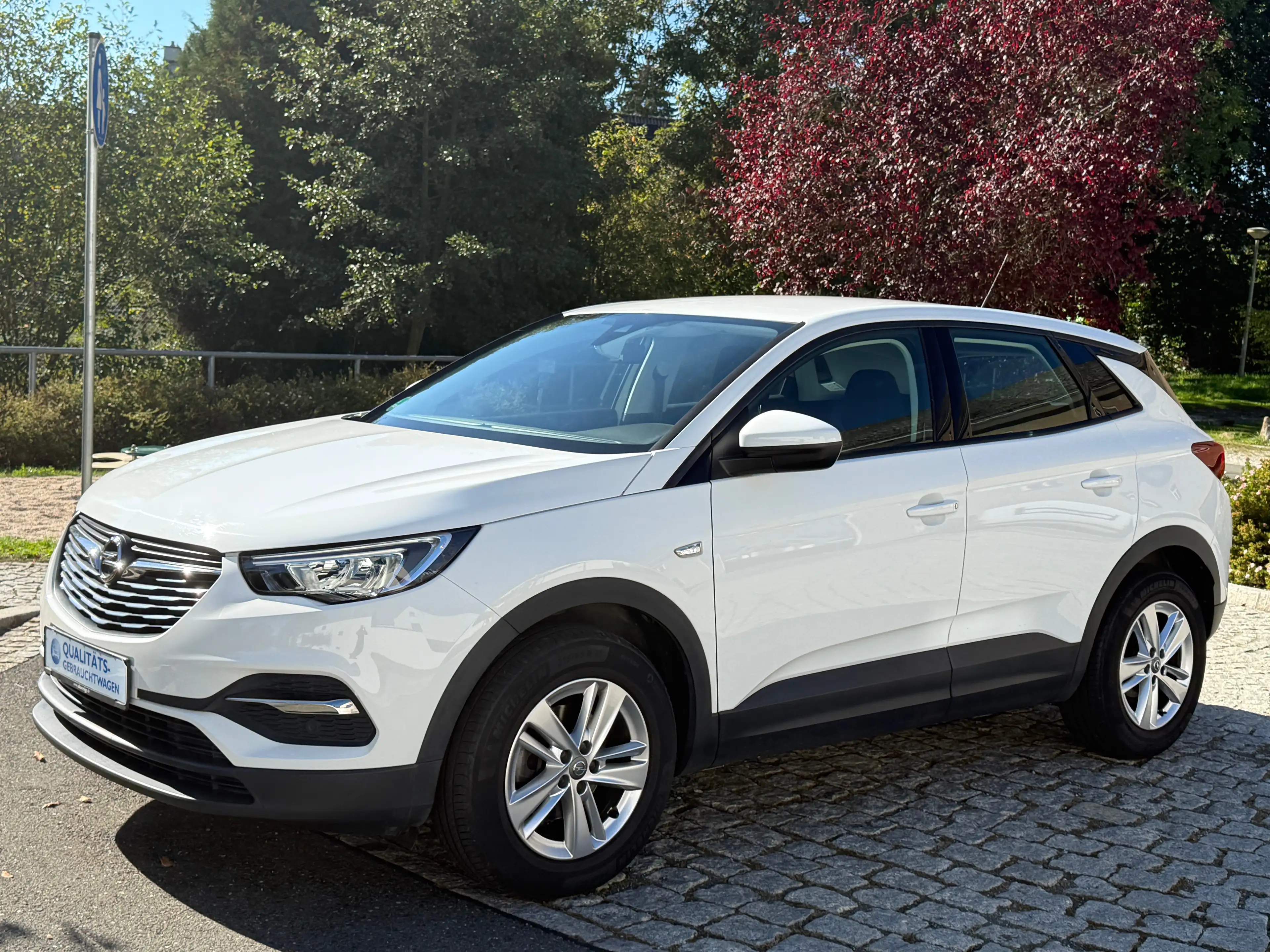 Opel Grandland X Automatik/Tempomat/LED