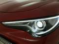 Alfa Romeo Stelvio 2.2 t Executive Q4 190cv auto Rosso - thumbnail 6