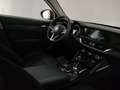 Alfa Romeo Stelvio 2.2 t Executive Q4 190cv auto Rosso - thumbnail 15