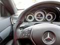 Mercedes-Benz E 220 CDI Coupé *SPORTPACK*PANODAK*ILS*PARKASSIST* Blanc - thumbnail 20