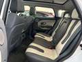 Land Rover Range Rover Evoque 2.2L SD4 Dynamic 4x4 190 Aut. Blanc - thumbnail 13