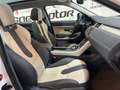 Land Rover Range Rover Evoque 2.2L SD4 Dynamic 4x4 190 Aut. Blanc - thumbnail 11