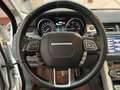 Land Rover Range Rover Evoque 2.2L SD4 Dynamic 4x4 190 Aut. Blanc - thumbnail 10