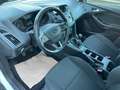 Ford Focus Turnier Trend Weiß - thumbnail 14