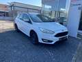 Ford Focus Turnier Trend Weiß - thumbnail 12