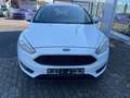 Ford Focus Turnier Trend Weiß - thumbnail 1
