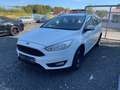 Ford Focus Turnier Trend Weiß - thumbnail 15