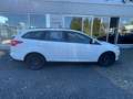 Ford Focus Turnier Trend Weiß - thumbnail 4