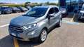 Ford EcoSport 1.0 ecoboost Titanium s&s 125cv my20.25 Grigio - thumbnail 1