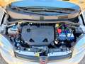 Fiat Panda Panda III 2012 4x4 0.9 t.air turbo 4x4 85cv Blanc - thumbnail 15