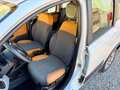Fiat Panda Panda III 2012 4x4 0.9 t.air turbo 4x4 85cv Blanc - thumbnail 11
