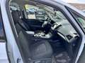 Ford Galaxy 2,0 EcoBlue SCR Business *7 Sitze Weiß - thumbnail 12