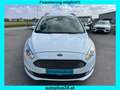 Ford Galaxy 2,0 EcoBlue SCR Business *7 Sitze Weiß - thumbnail 2