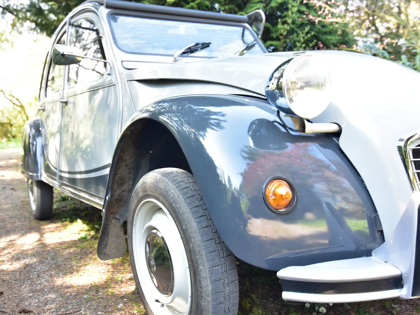 Citroen 2CV Charleston siva - 2
