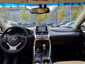 Lexus NX 300 h Executive Line E-FOUR SUV mit Platz Negro - thumbnail 11